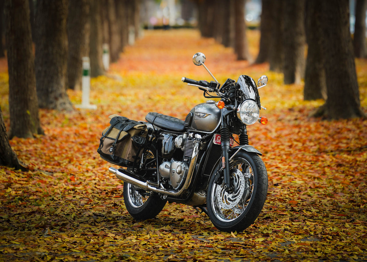 Triumph Bonneville / T100 / T120